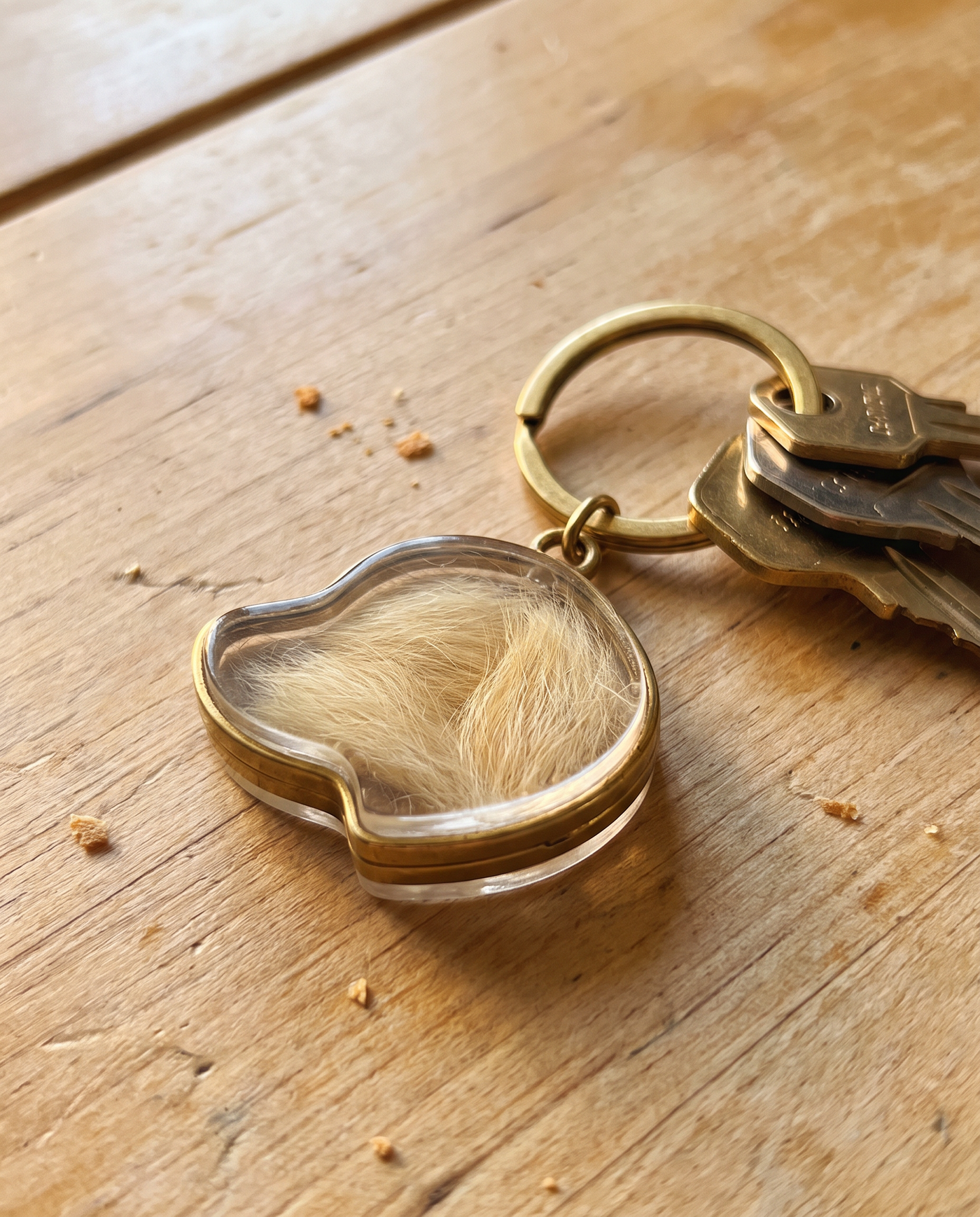 SIZED FOR KEYS OR BAG
