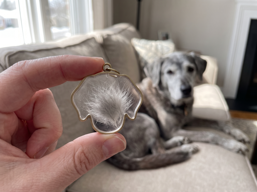 Bailey · silver undercoat